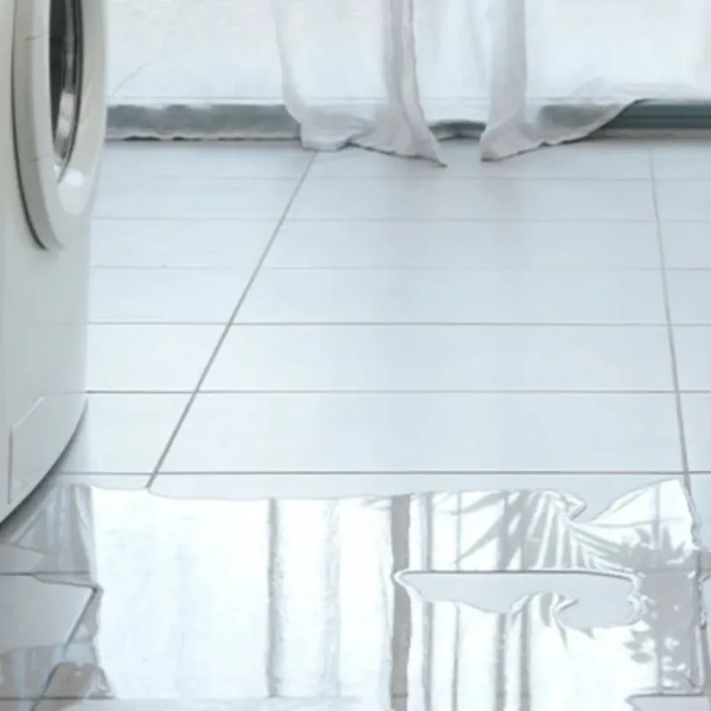 Appliance Leak Cleanup in Mount Juliet, TN