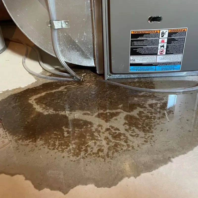 Pipe Burst and Leak Restoration in Mount Juliet, TN